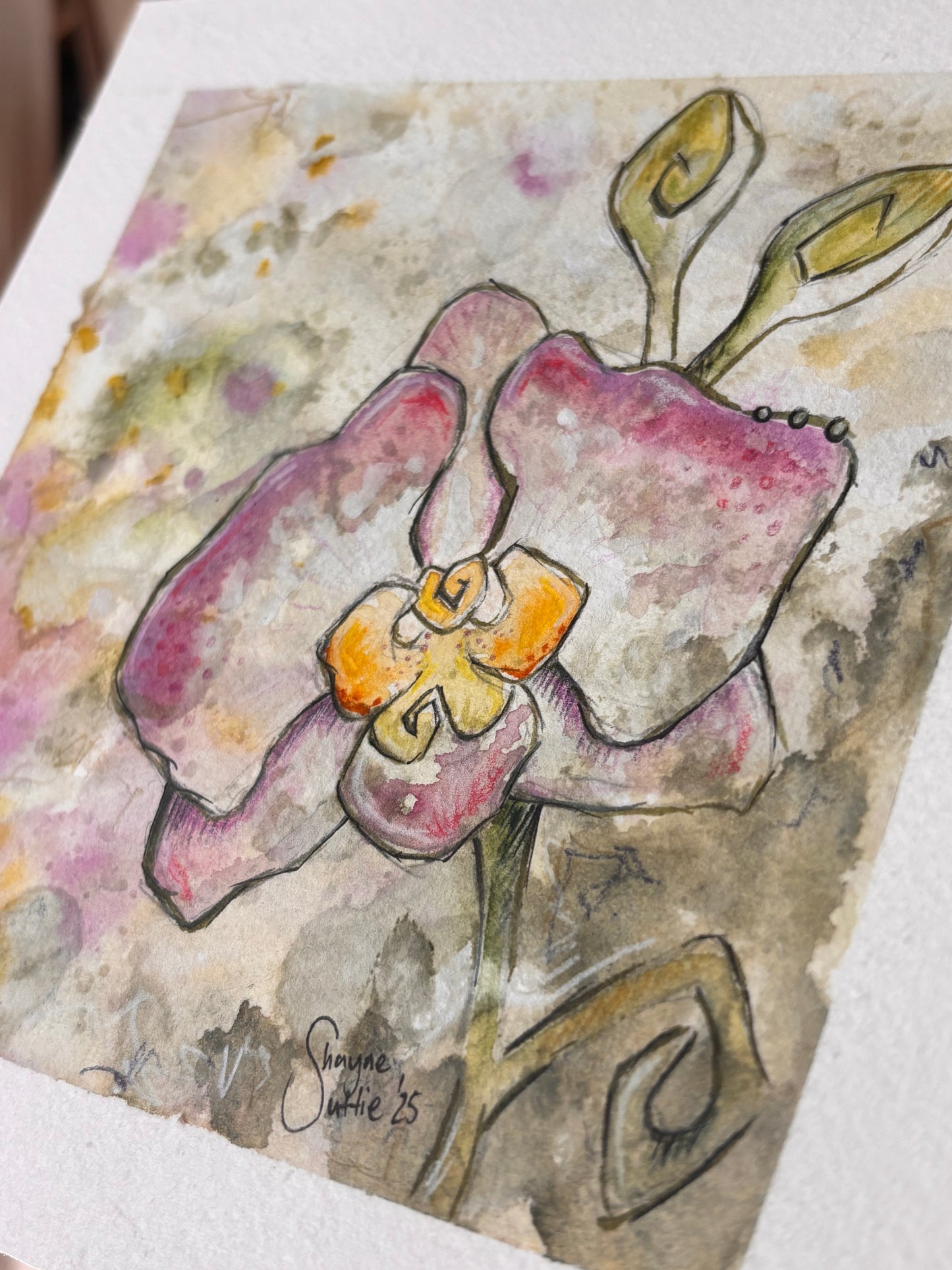 Pink Orchid