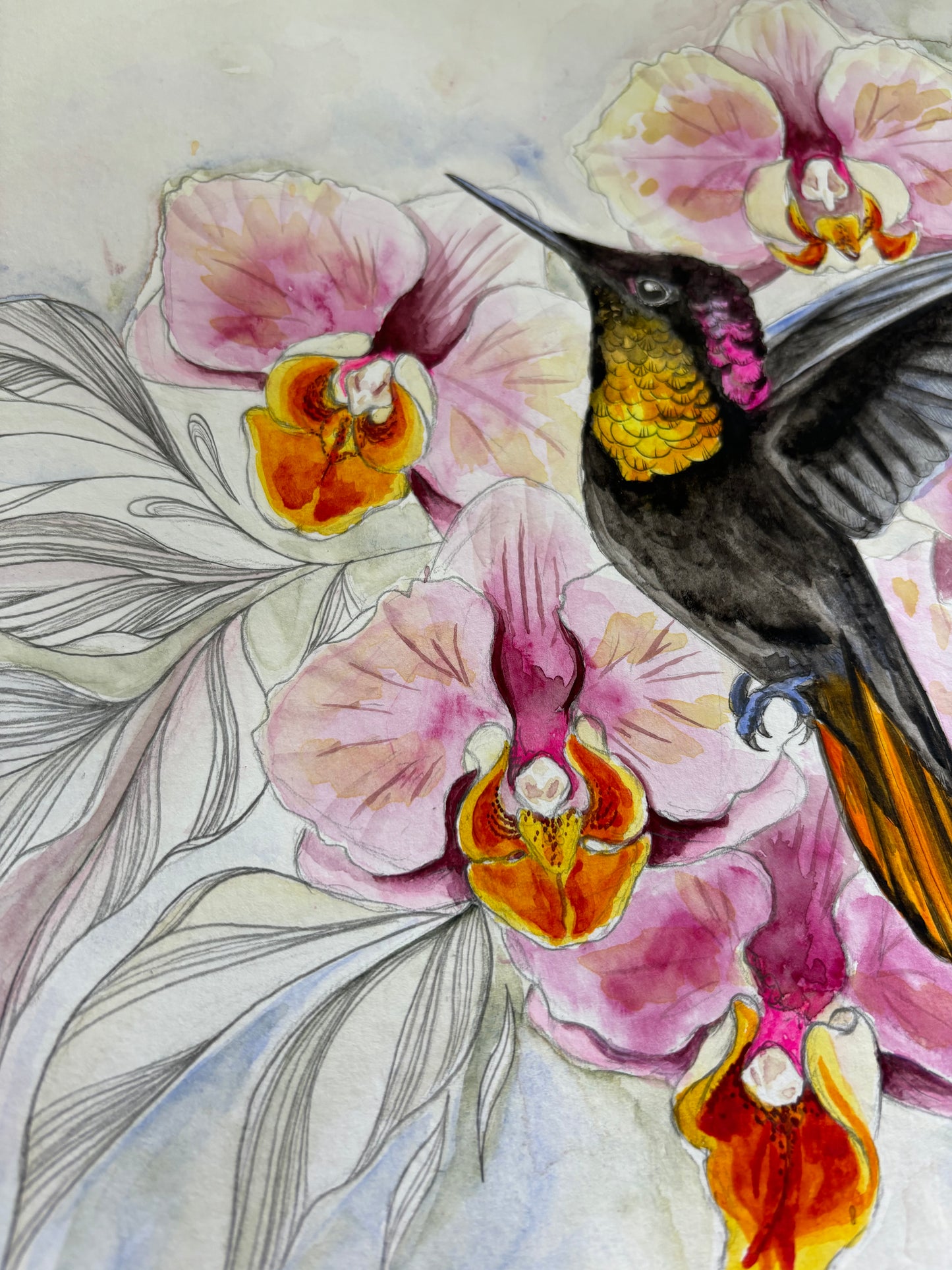 Orchids in flight