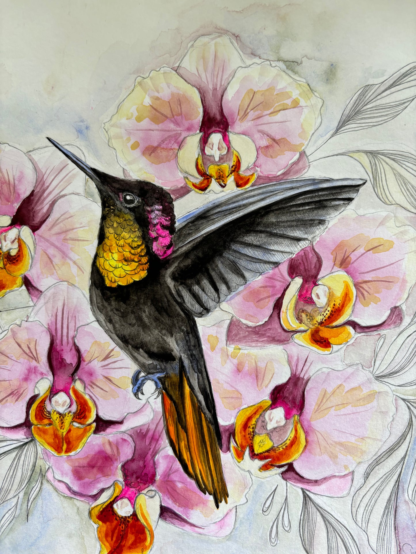 Orchids in flight