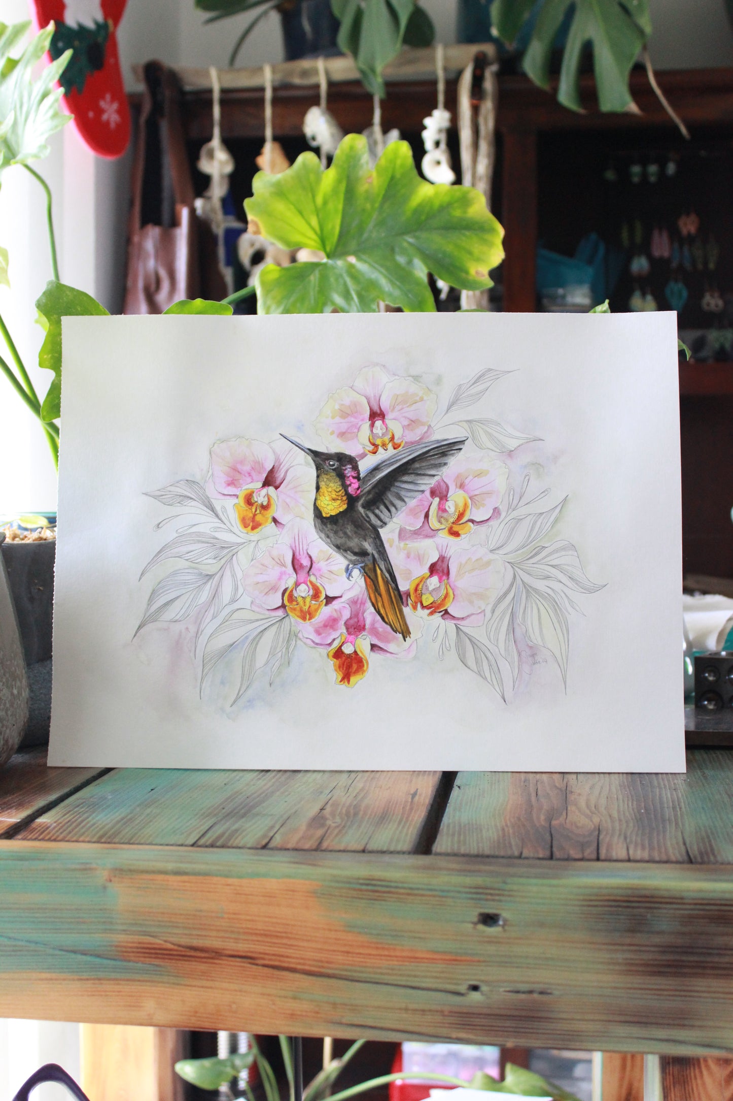 Orchids in flight
