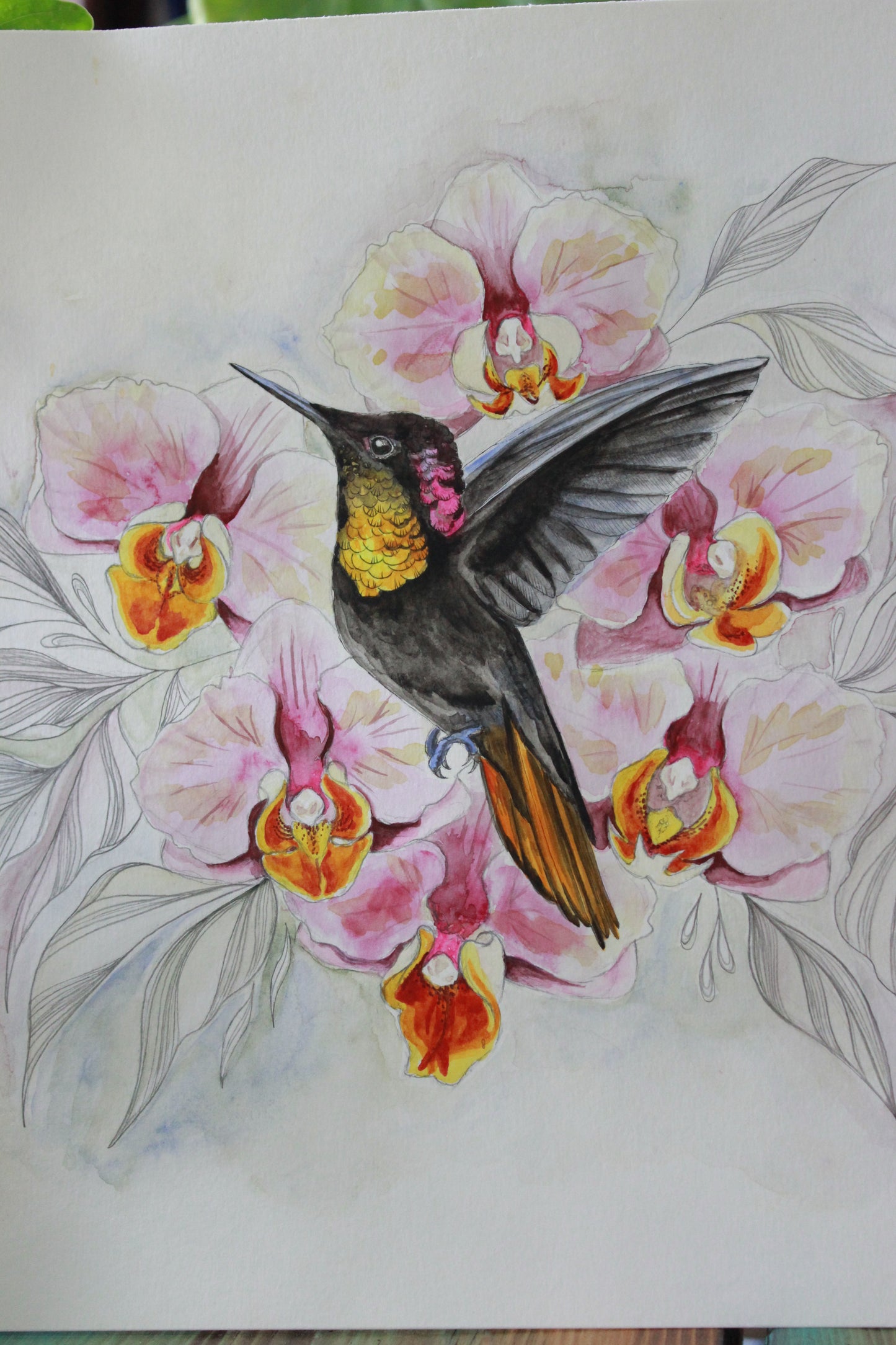 Orchids in flight