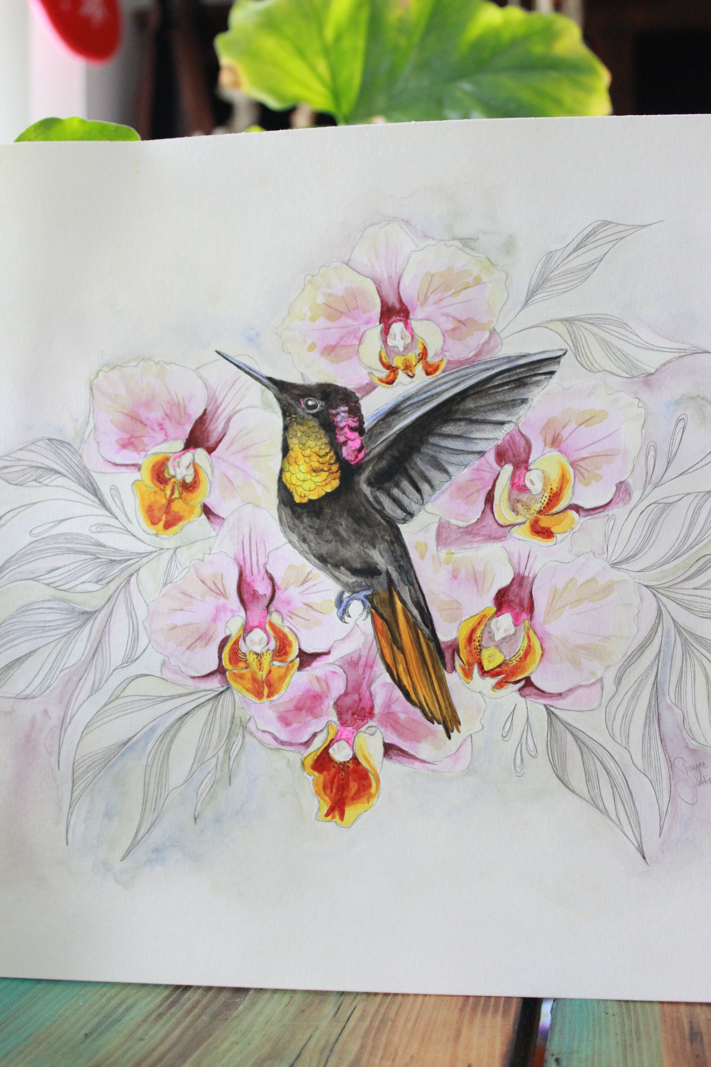 Orchids in flight