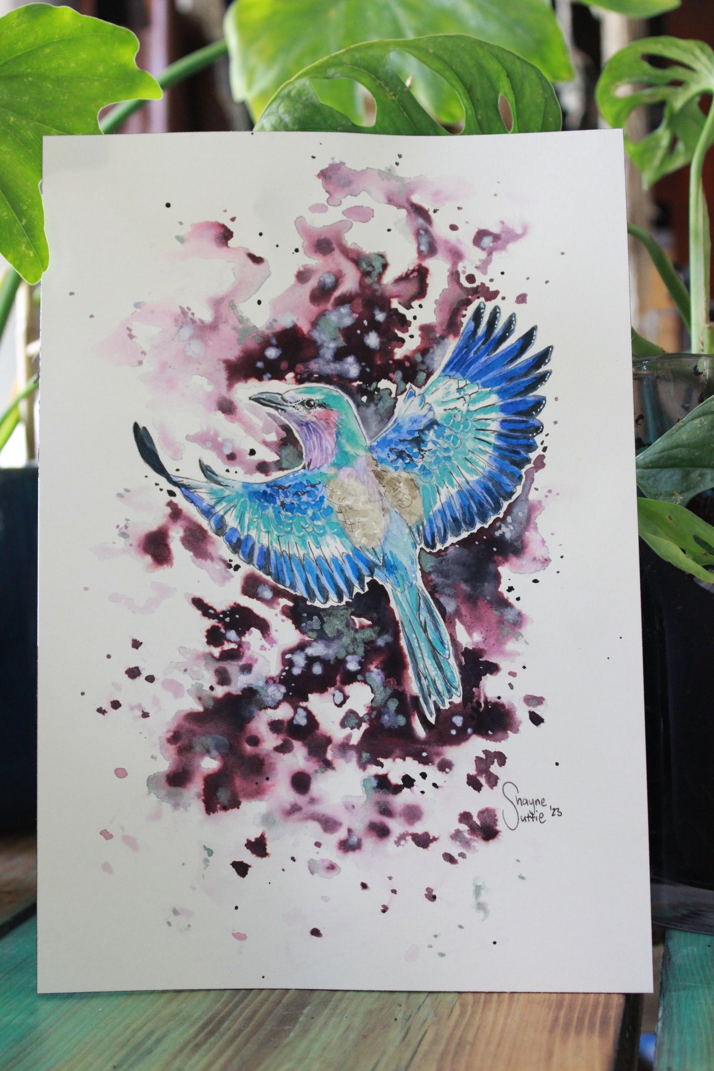 Lilac Breasted Roller