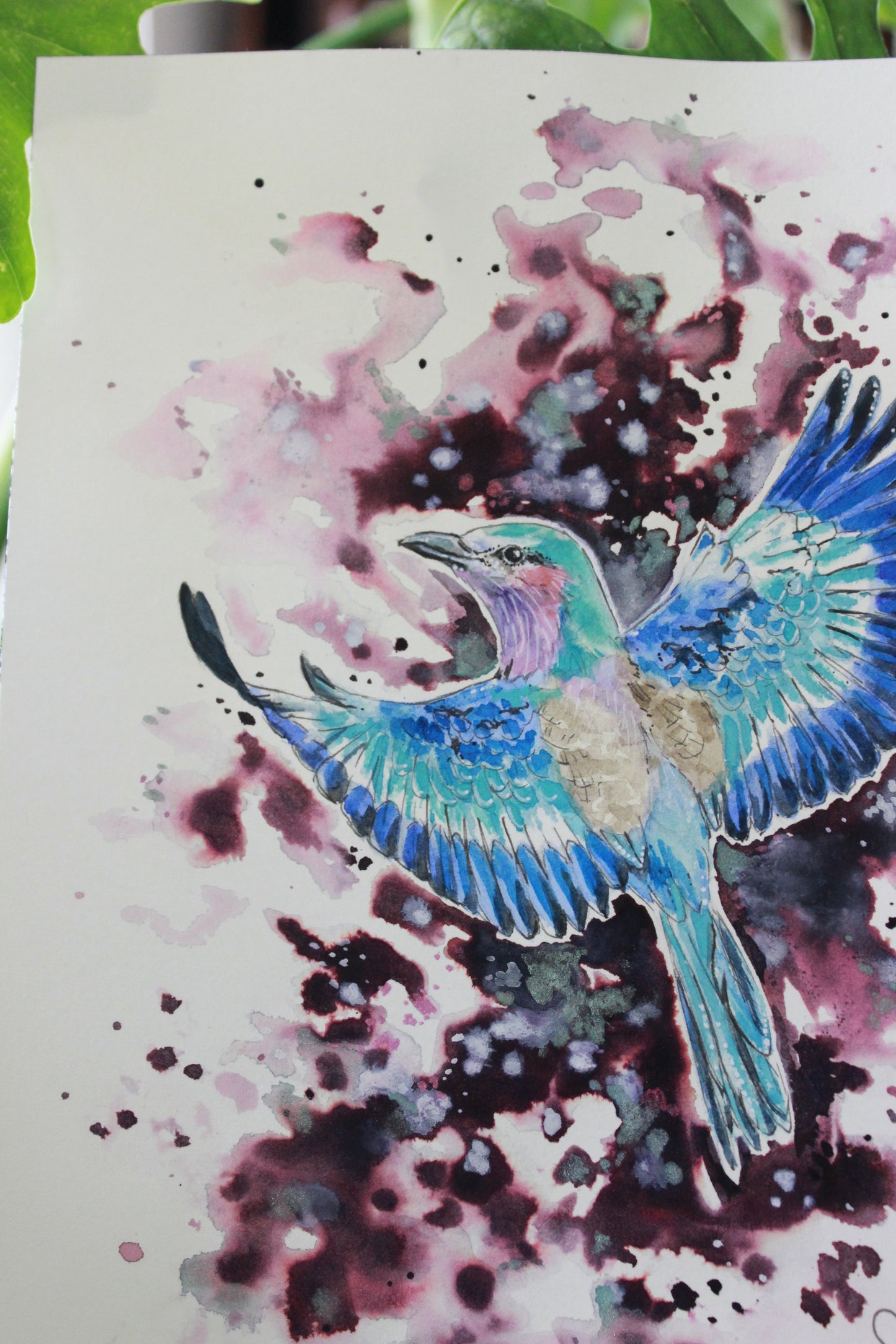 Lilac Breasted Roller