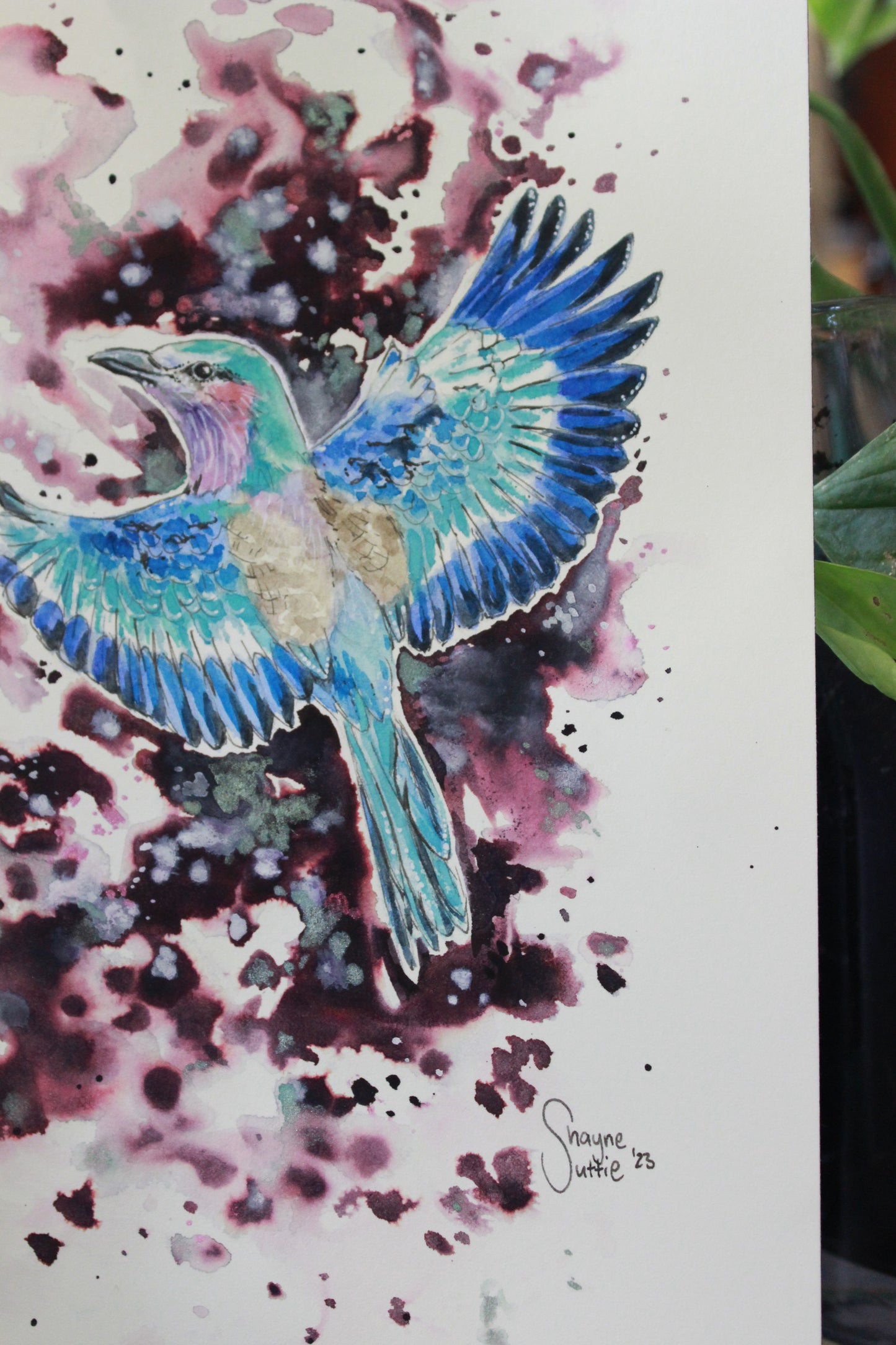 Lilac Breasted Roller