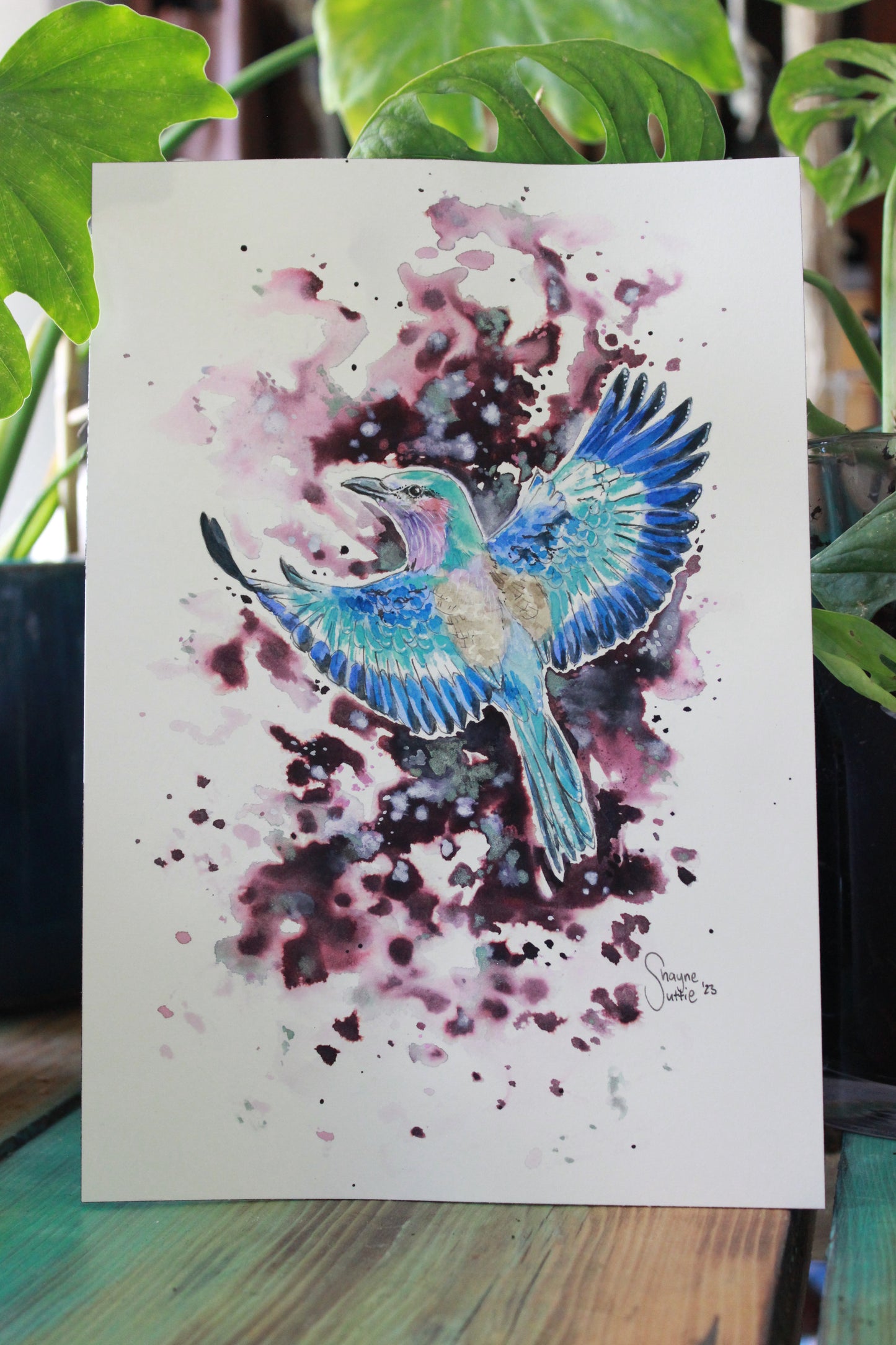 Lilac Breasted Roller