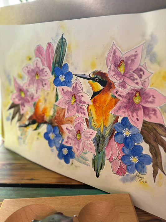 Bee Eaters and Orchids