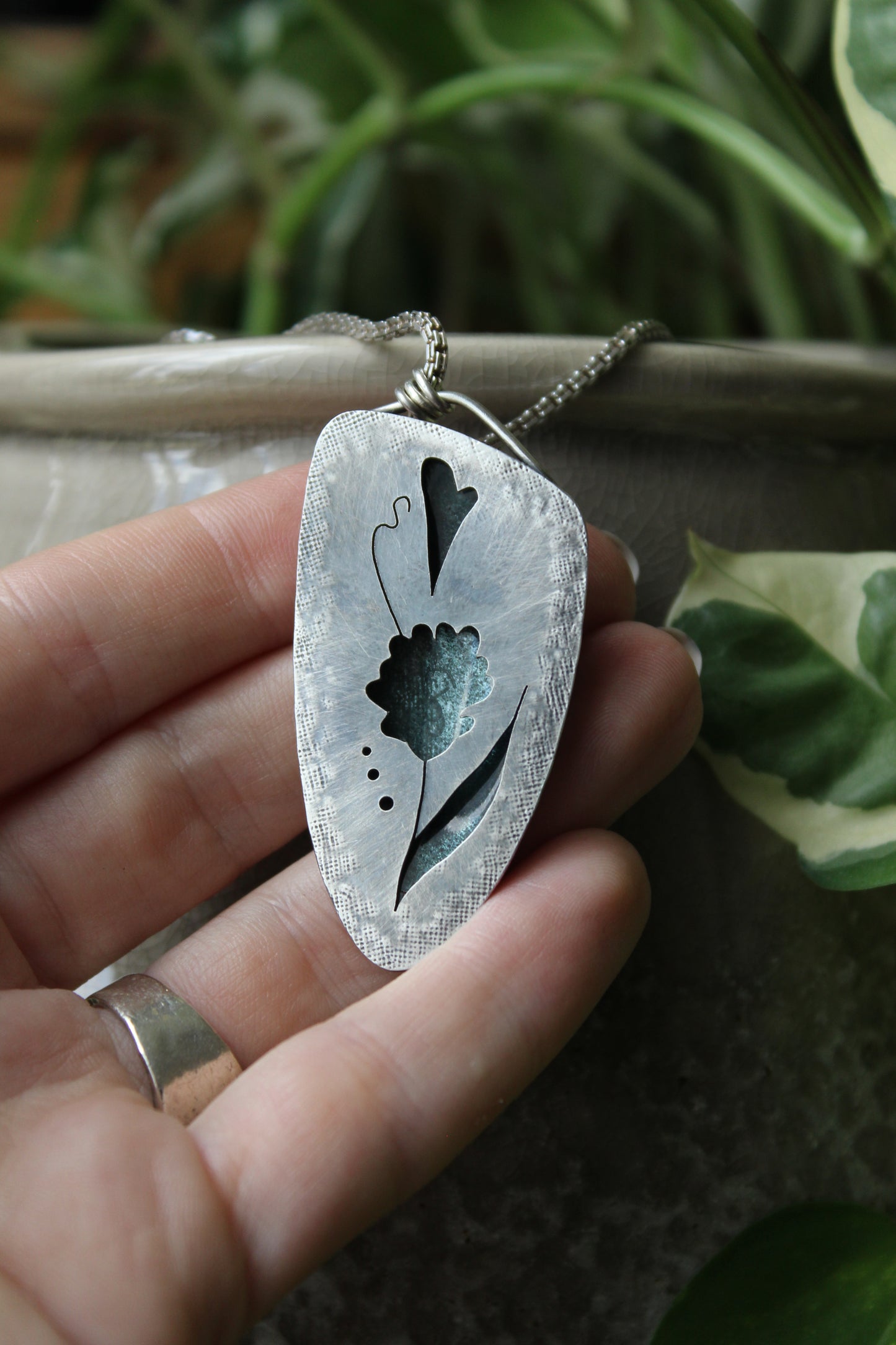 ‘The princess’ - French Lavender