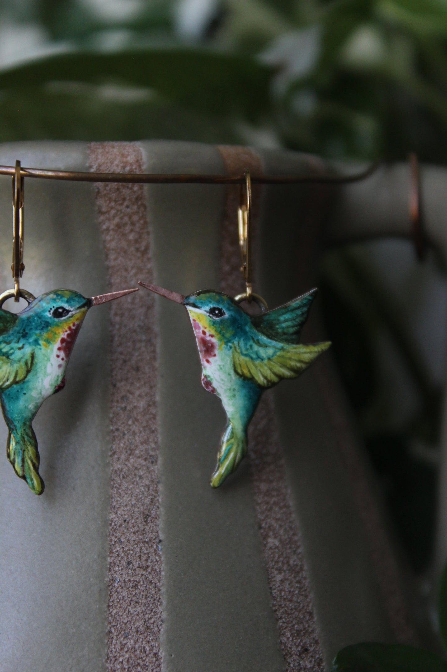 Anna’s hummingbird