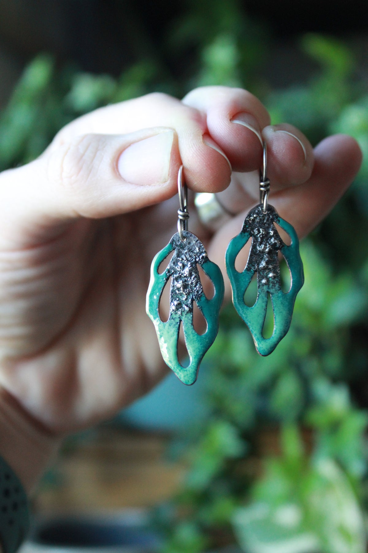 Peacock drops