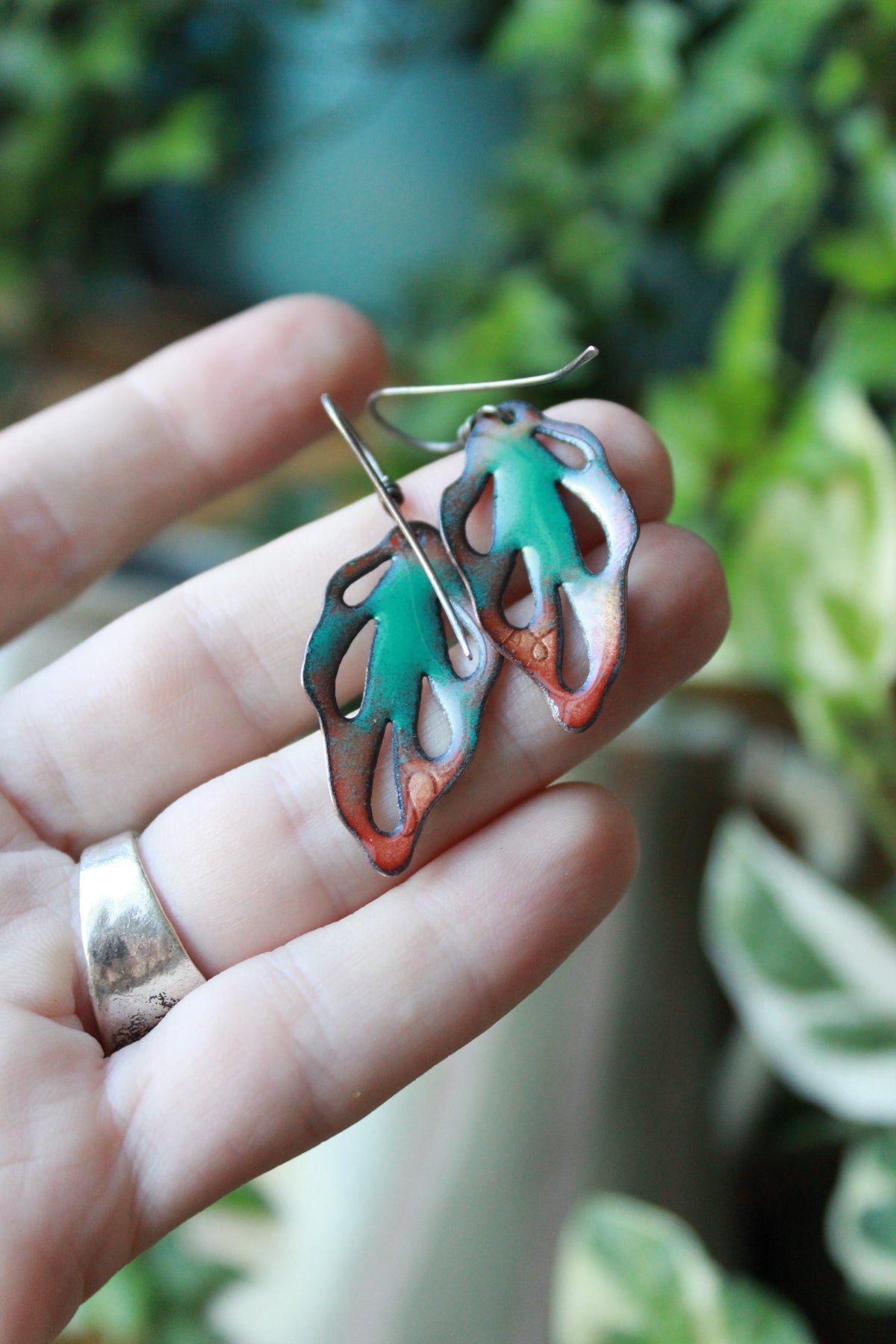 Peacock drops
