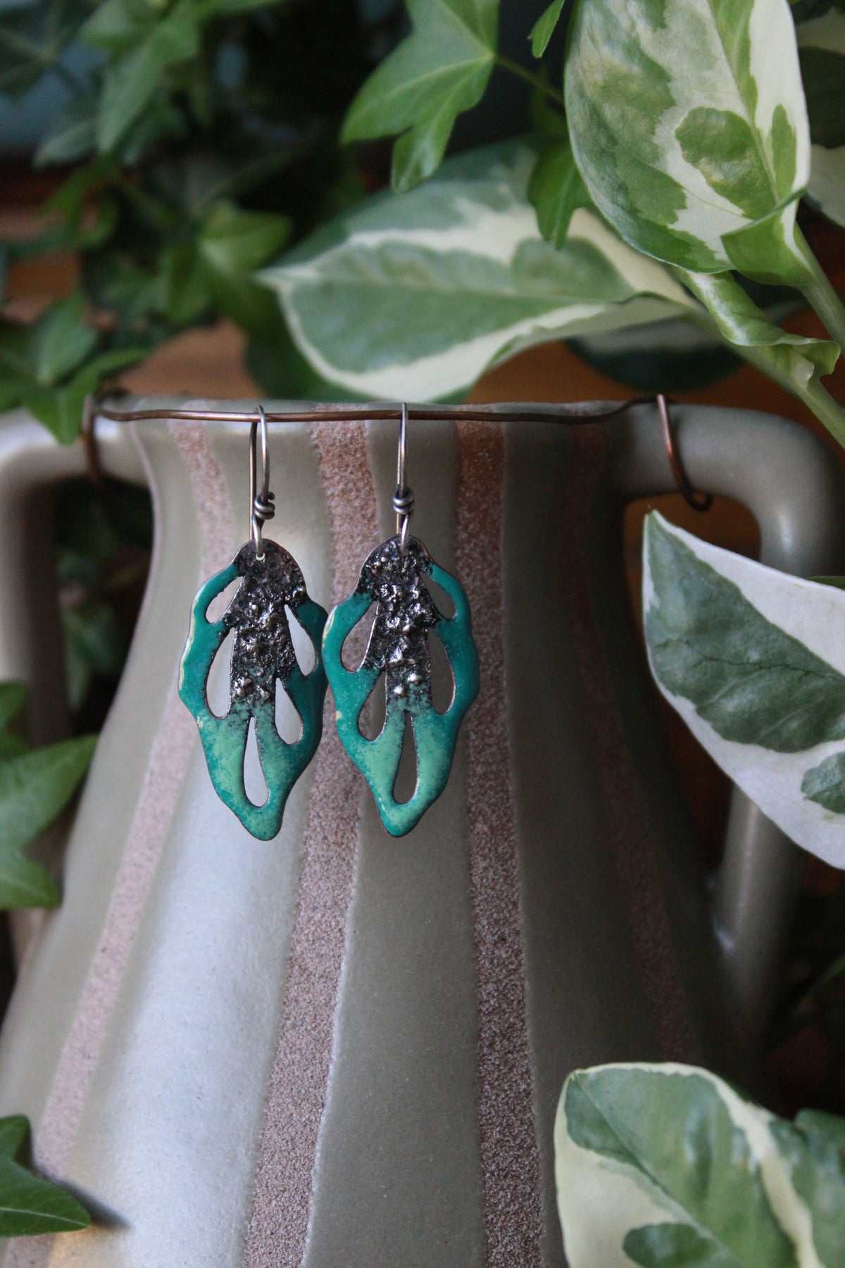 Peacock drops