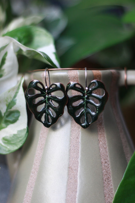 Magic monstera leaf